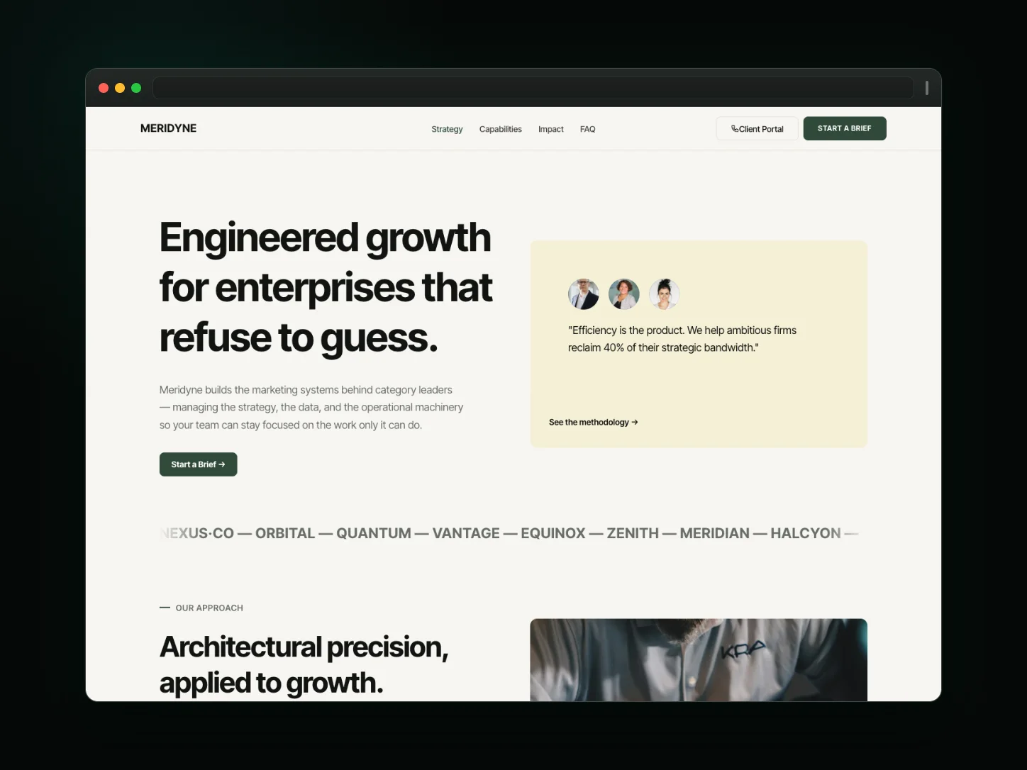 Meridyne website template preview