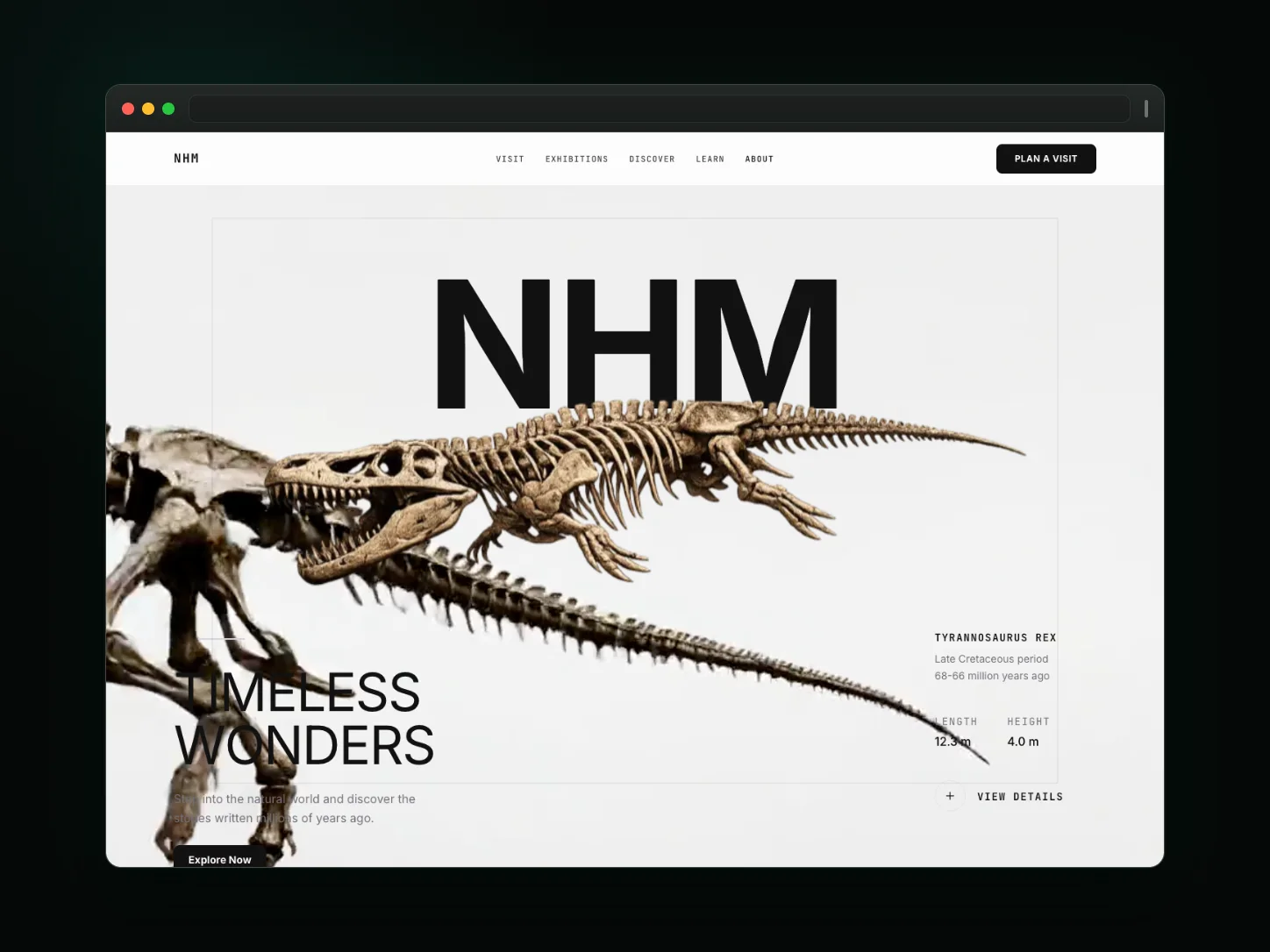 NHM website template preview