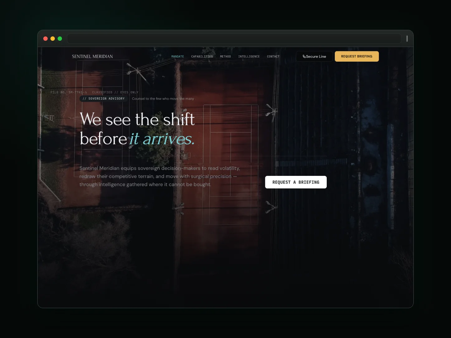 Sentinel Meridian website template preview