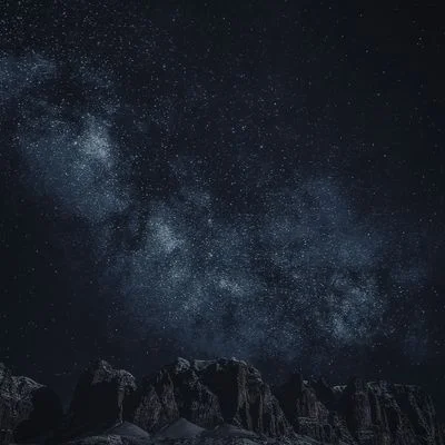 Ecosystem portal