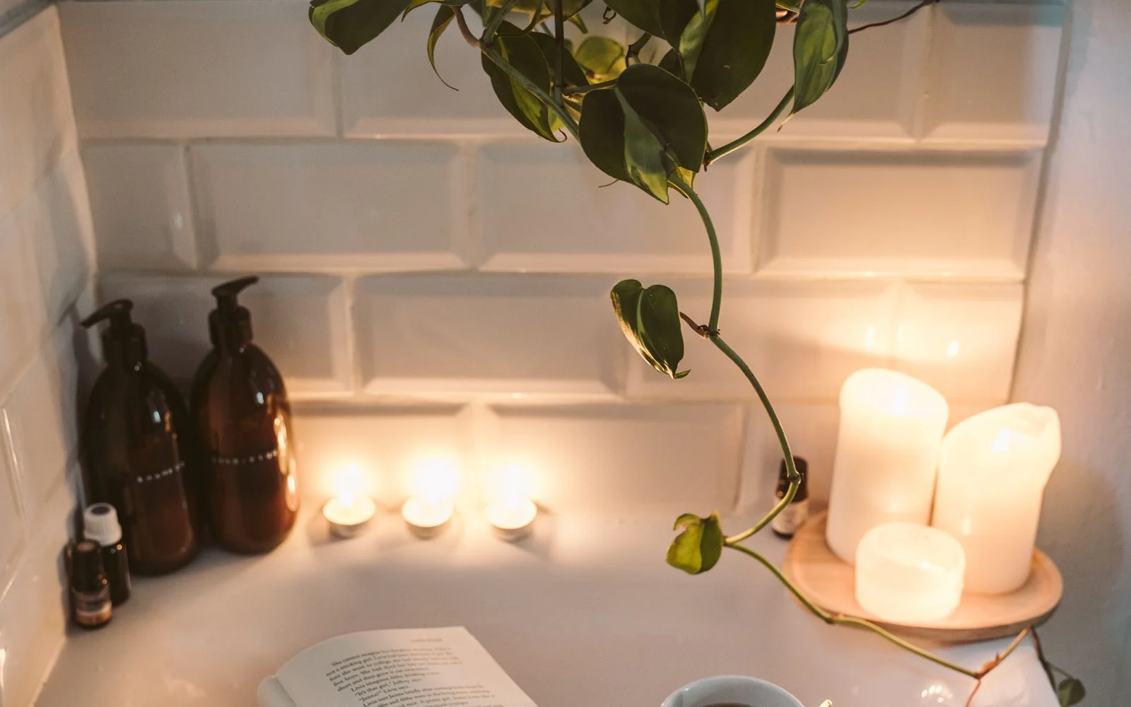 Hearthwell home scene