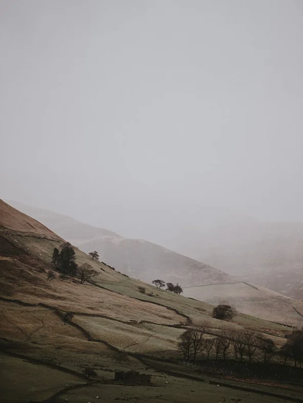 Landscape Series